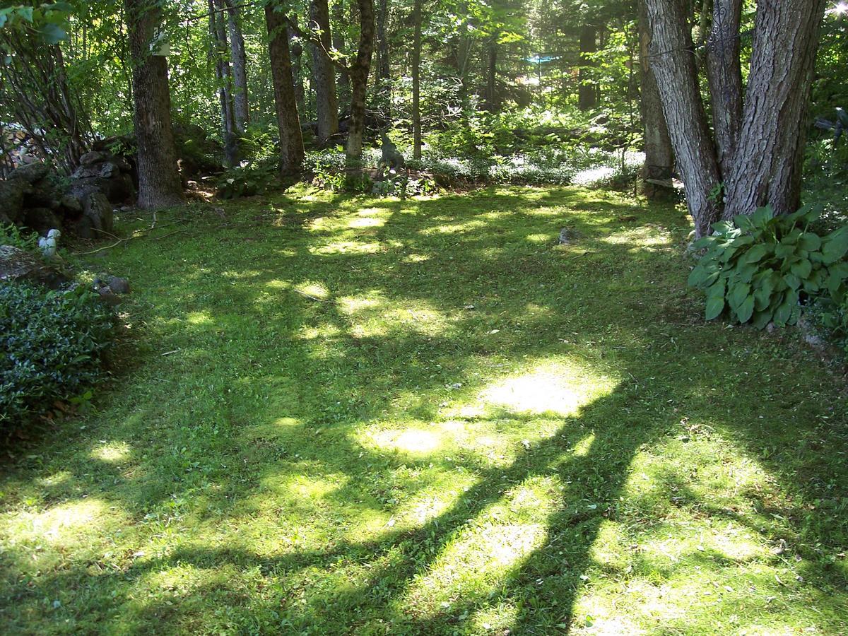 Hummingbird Hill Bed and Breakfast Stoddard Εξωτερικό φωτογραφία