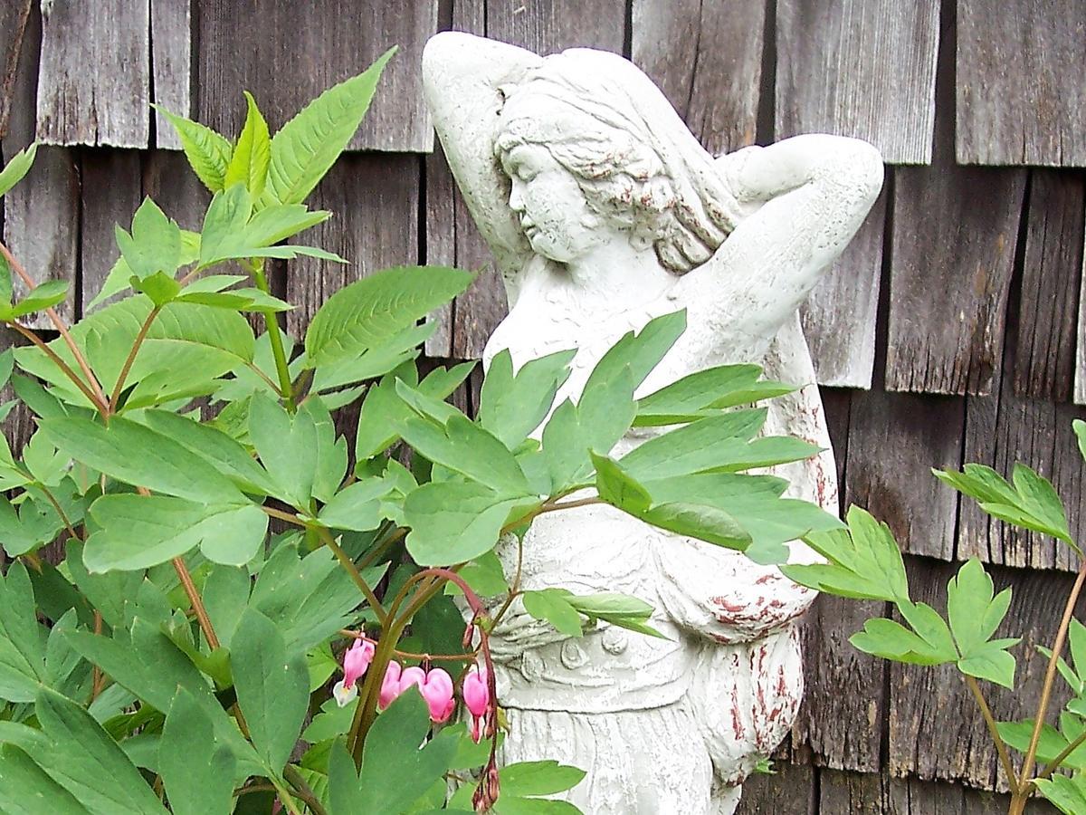 Hummingbird Hill Bed and Breakfast Stoddard Εξωτερικό φωτογραφία